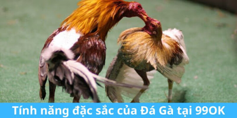 Đá gà 99OK: Sân chơi đá gà trực tuyến Thomo siêu hot 2025 4 Đá gà 99OK: Cơ hội chiến thắng không giới hạn