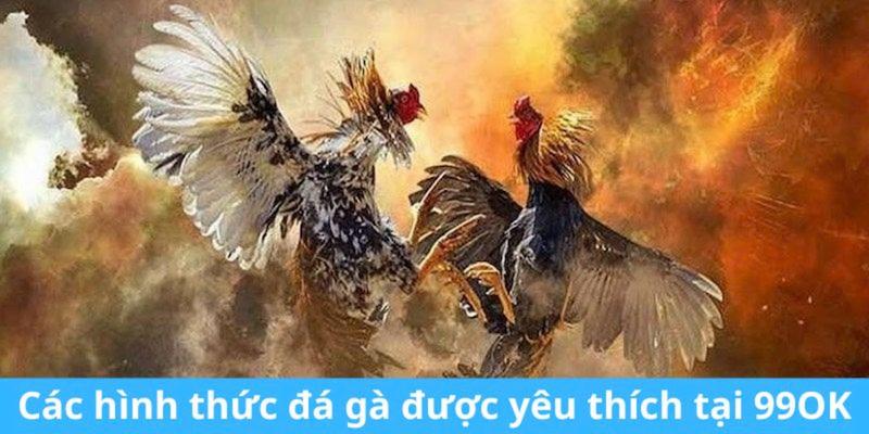 Đá gà 99OK: Sân chơi đá gà trực tuyến Thomo siêu hot 2025 3 Tham gia Đá gà 99OK để thắng lớn ngay hôm nay