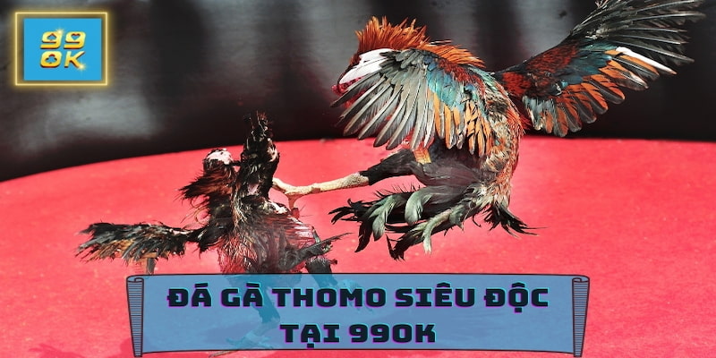 Đá gà 99OK: Sân chơi đá gà trực tuyến Thomo siêu hot 2025 5 Thử sức cùng Đá gà 99OK và chinh phục mọi trận đấu